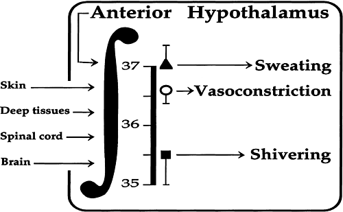 figure01